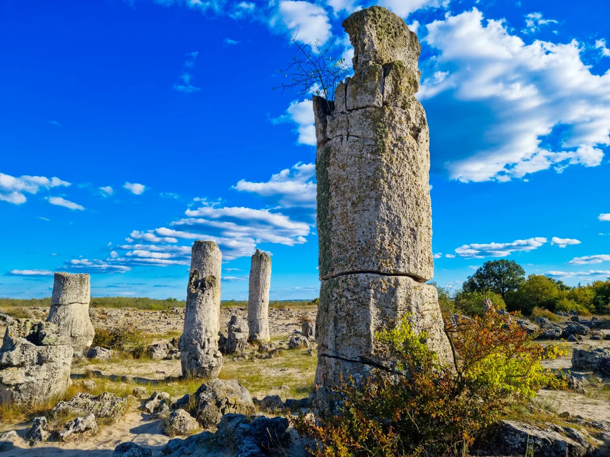 Tall stone pillars at Pobiti Kamani
