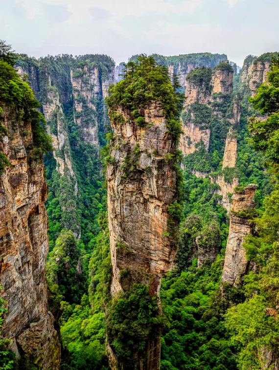 Single tall Zhangjiajie sandstone pillar rising above the forest canopy