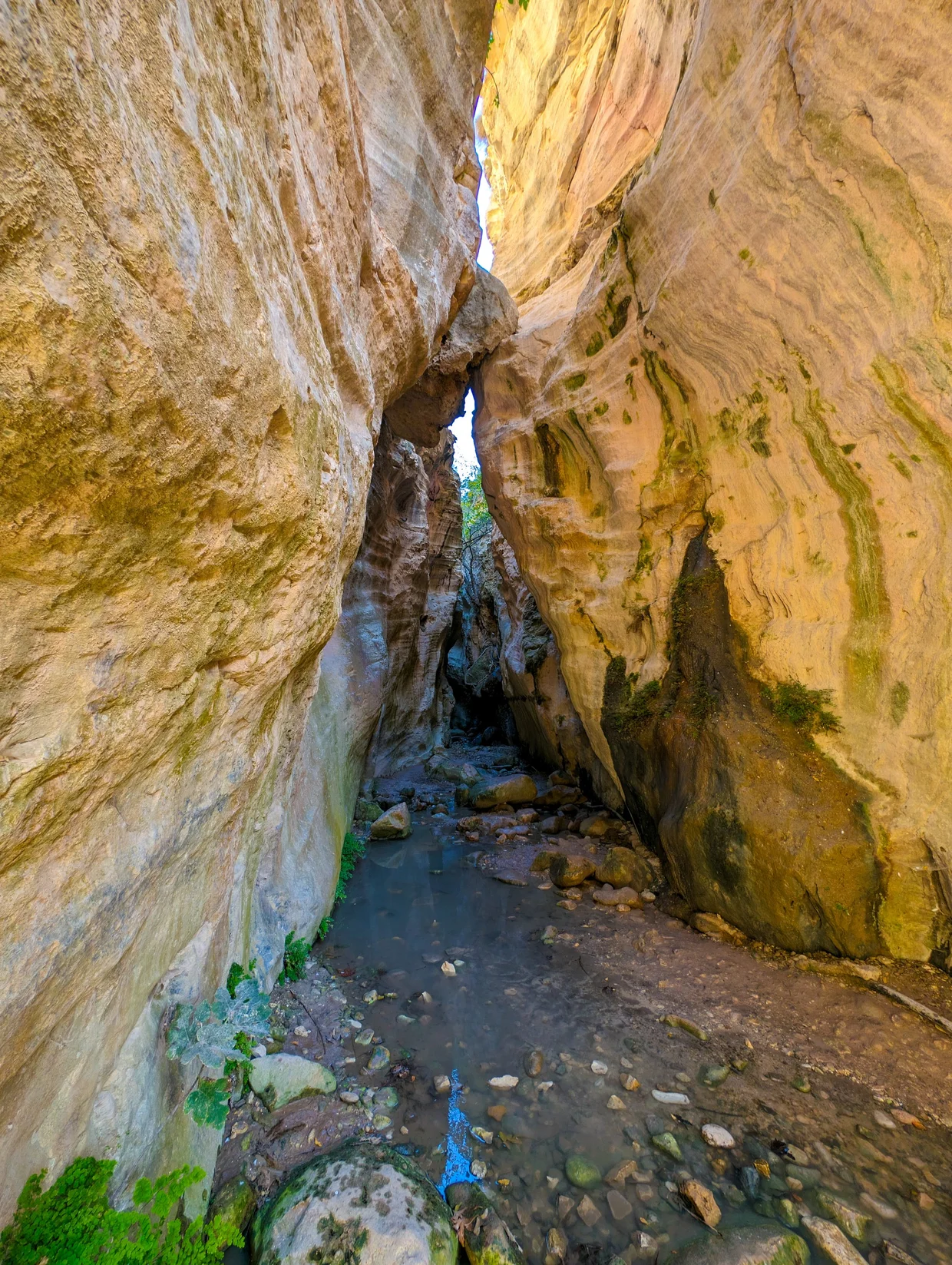 Deep inside Avakas Gorge where walls nearly meet, wedged boulder overhead