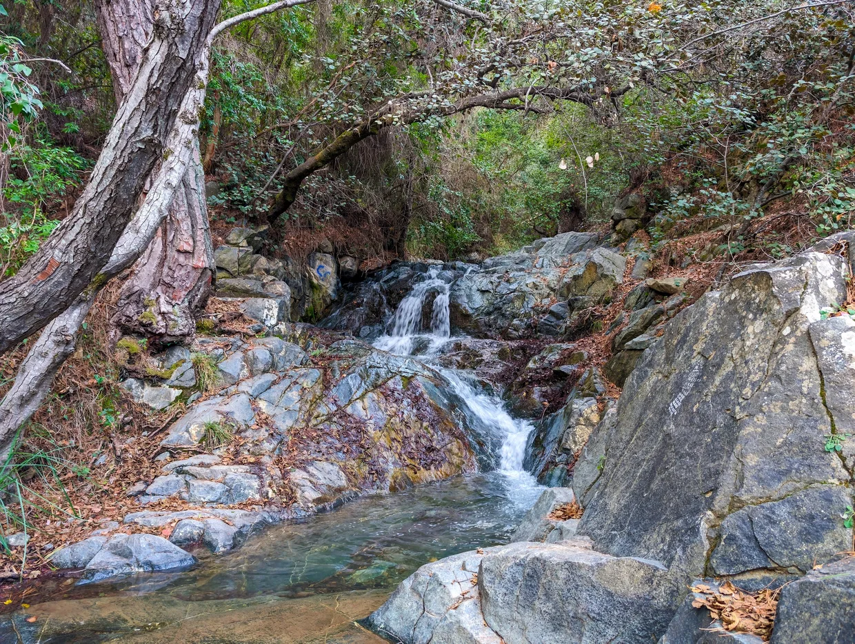 Small cascading waterfall in a forested creek with rocks and autumn leaves