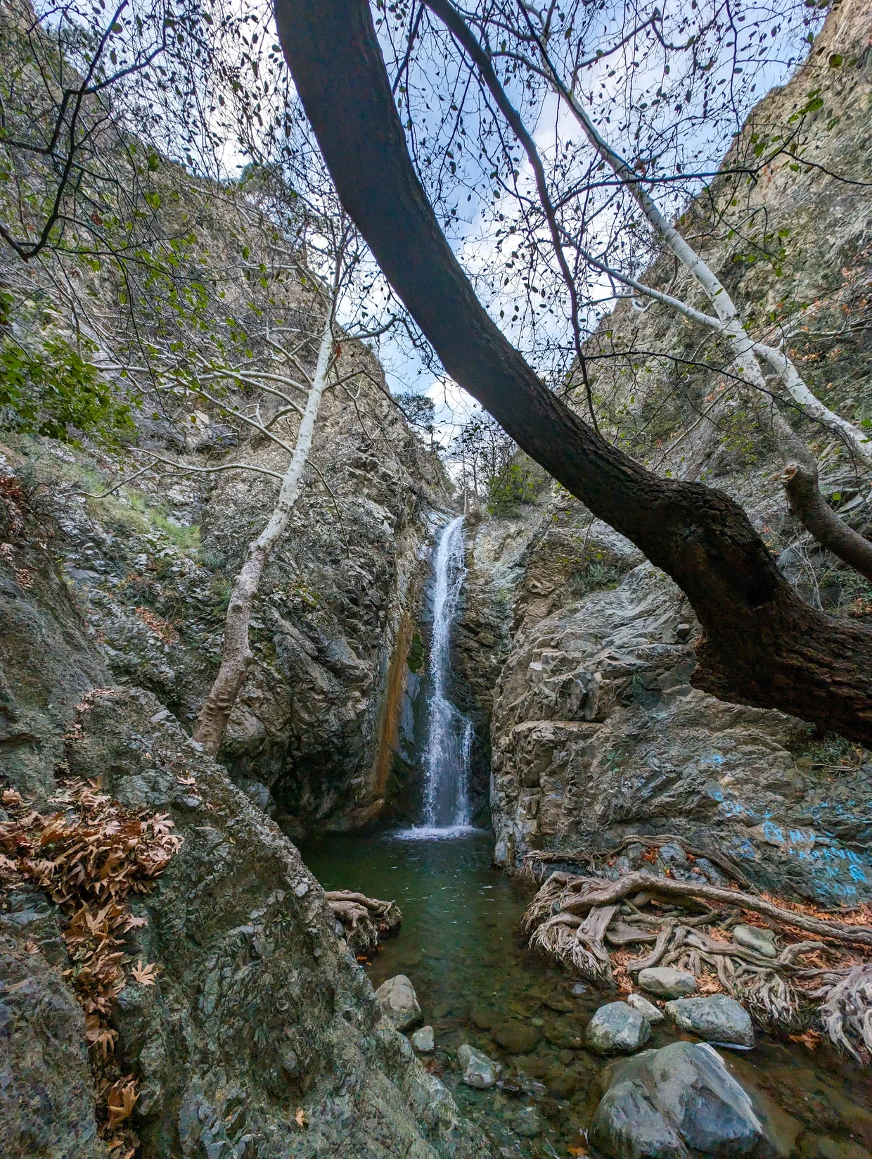 Tall waterfall dropping into a rocky pool, framed by bare trees and cliff walls