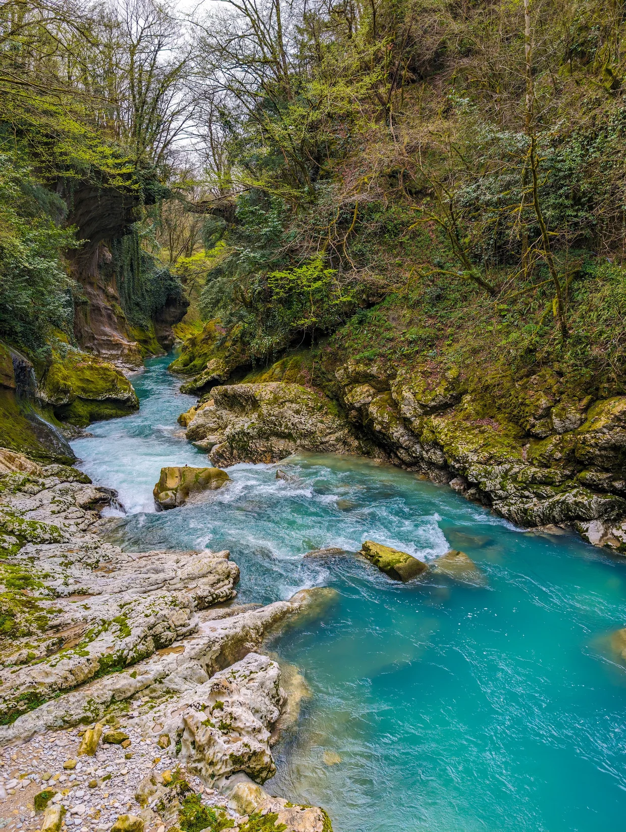 Martvili Canyon: turquoise river in the gorge, mossy cliffs above