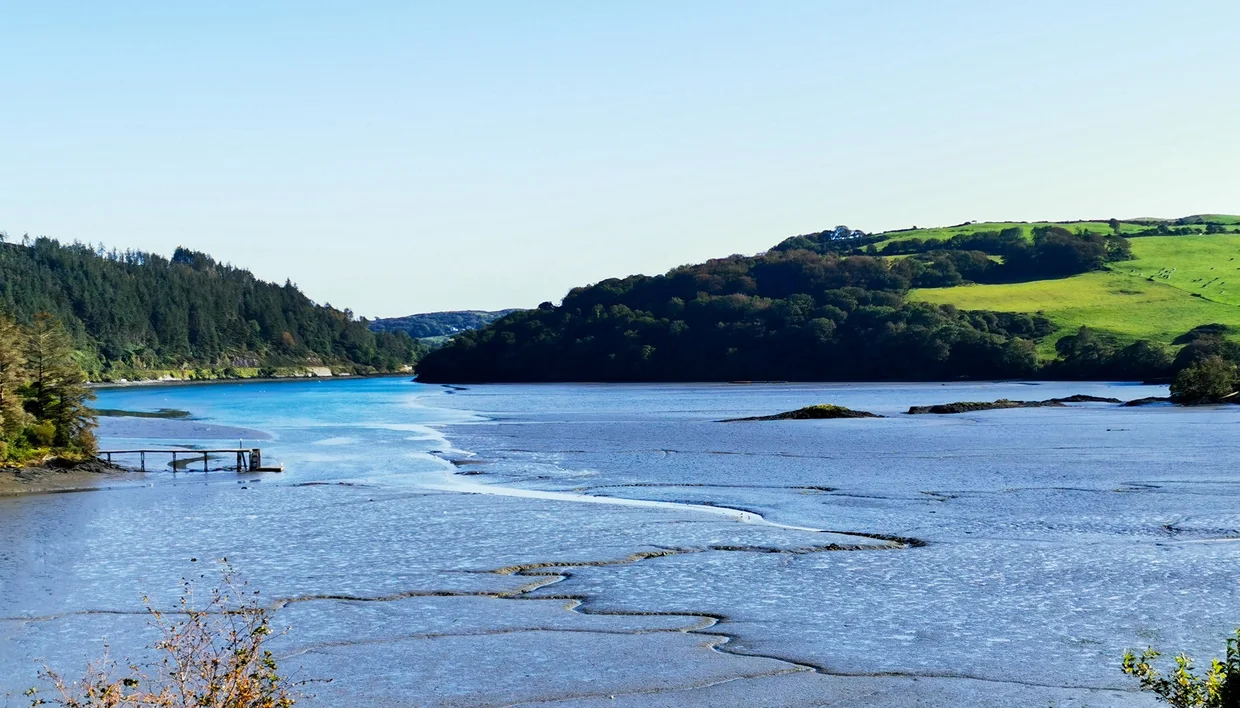 River estuary flowing through green wooded hills