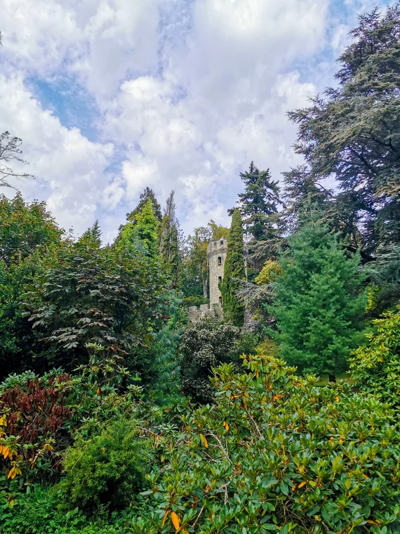 Stone tower hidden among lush green vegetation and flowering shrubs