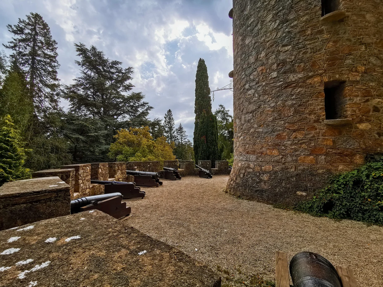 Castle tower wall with old cannons on the battlement, tall cypress tree in background