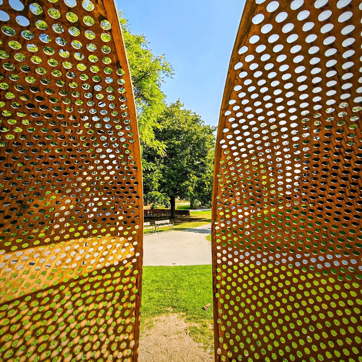 park landscape