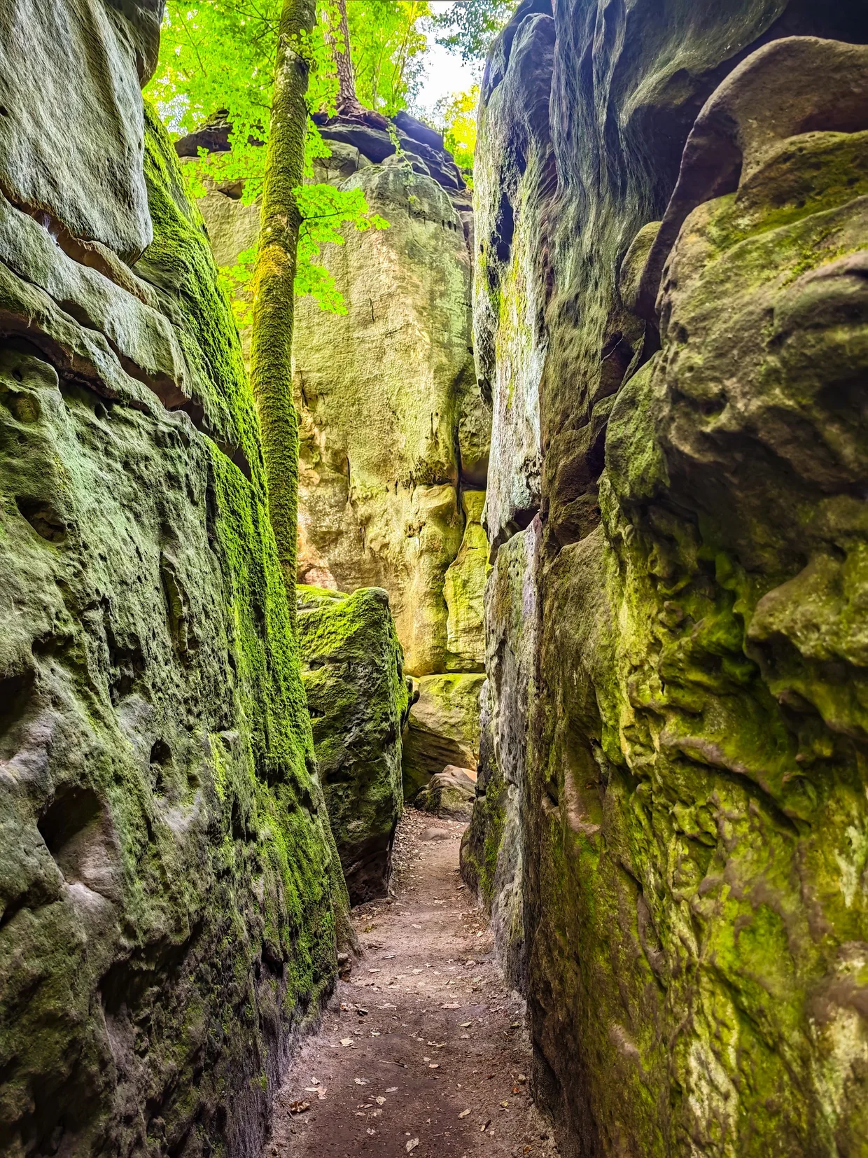 Mullerthal Trail boulders