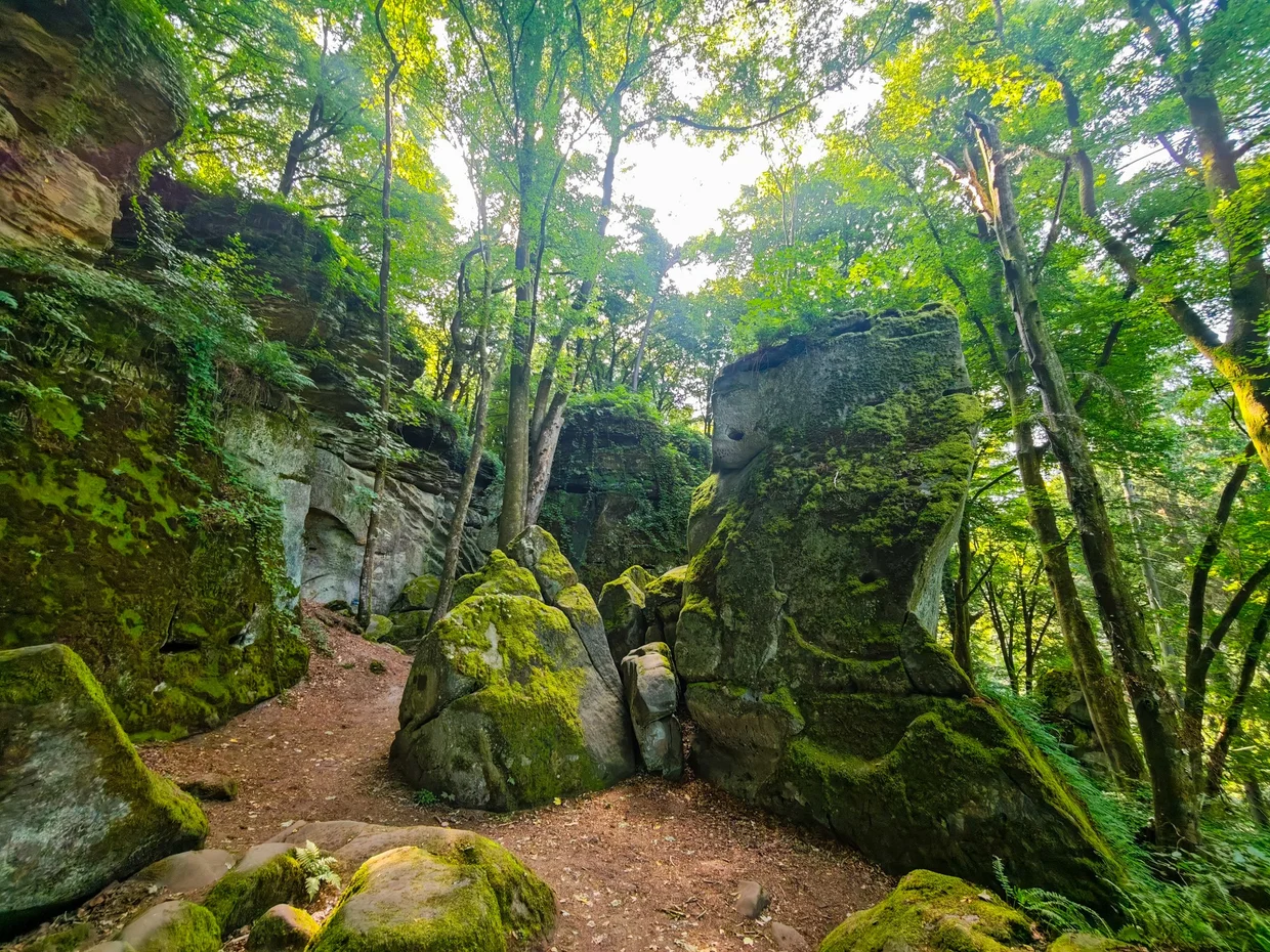 mossy boulder path