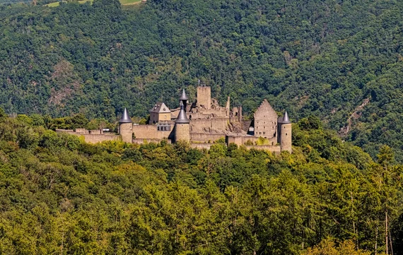 castle on forested hill