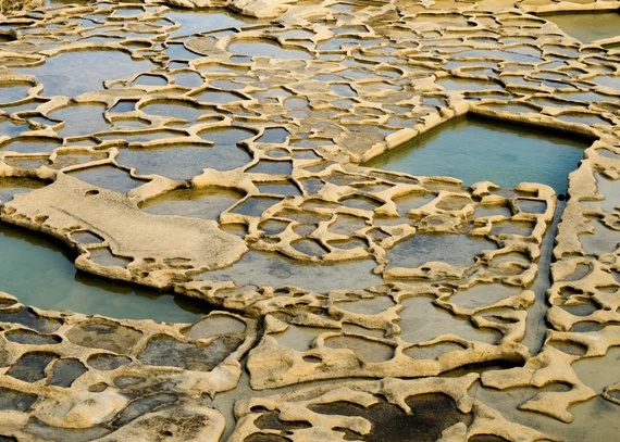 Close-up of the intricate honeycomb-like salt pan basins