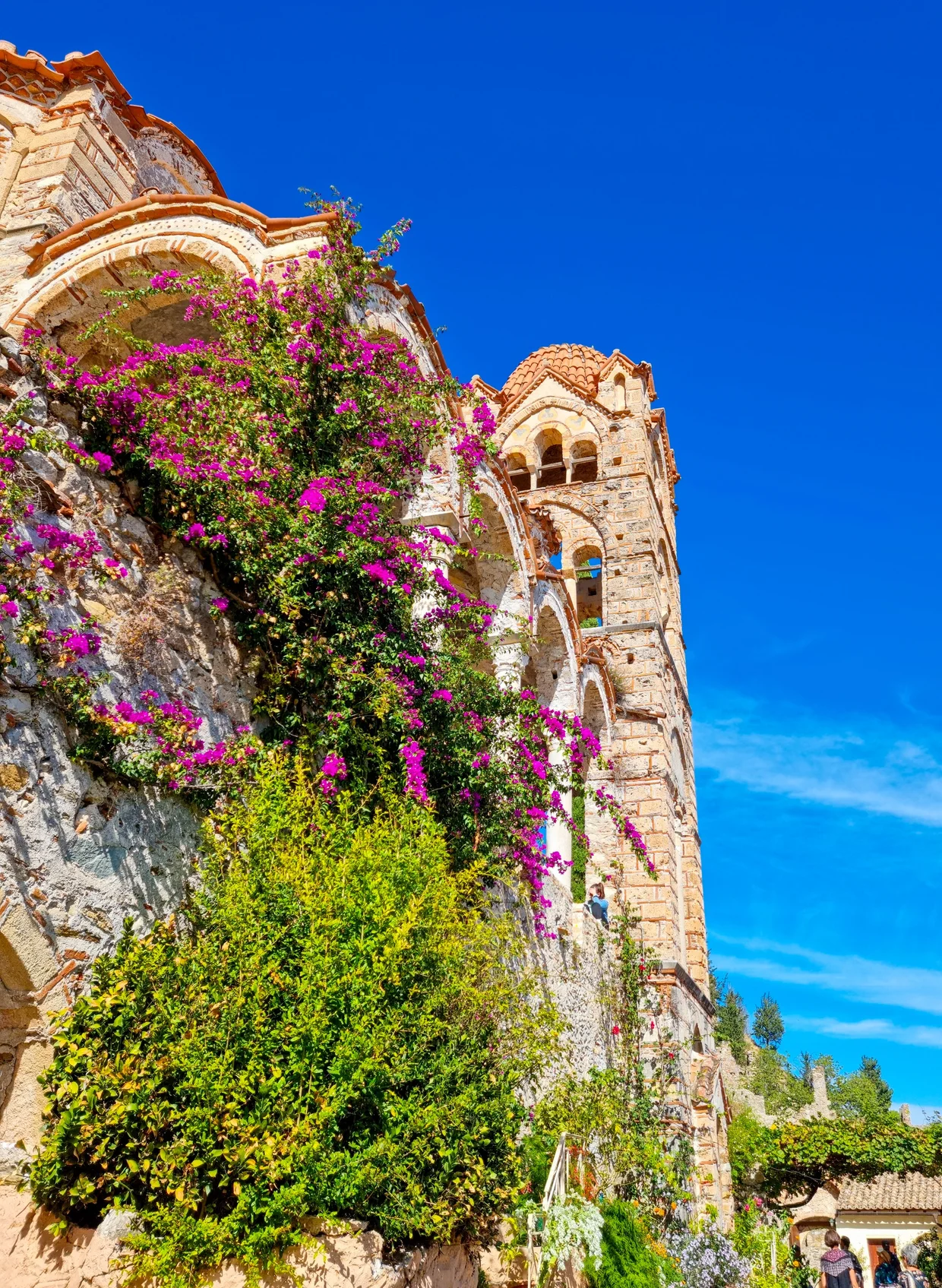 Byzantine church at Mystras with bougainvillea climbing its stone wall