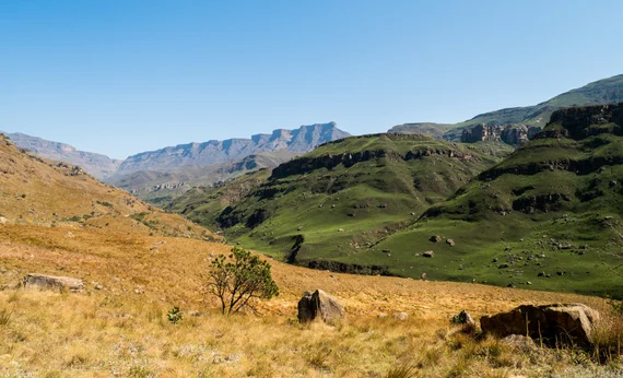 Drakensberg valley with golden grass and green mountain slopes leading to the escarpment