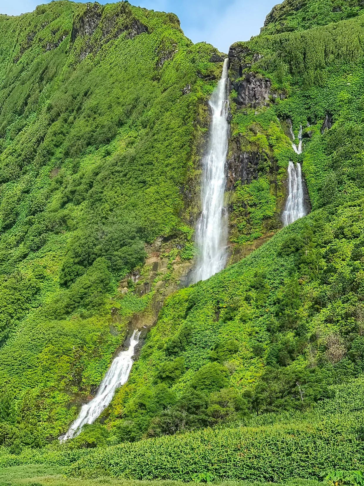 Lush forest trail along a water channel