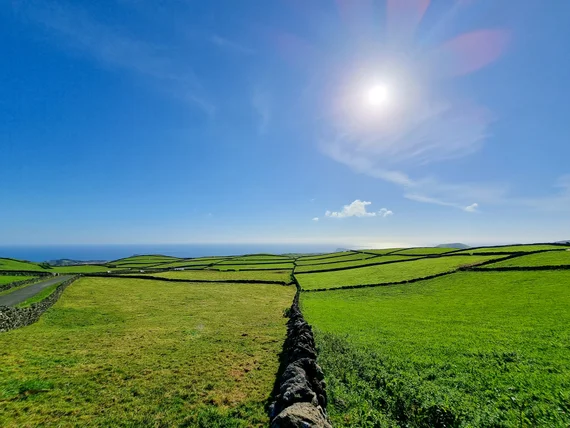 Green pastures divided by stone walls stretching to the ocean