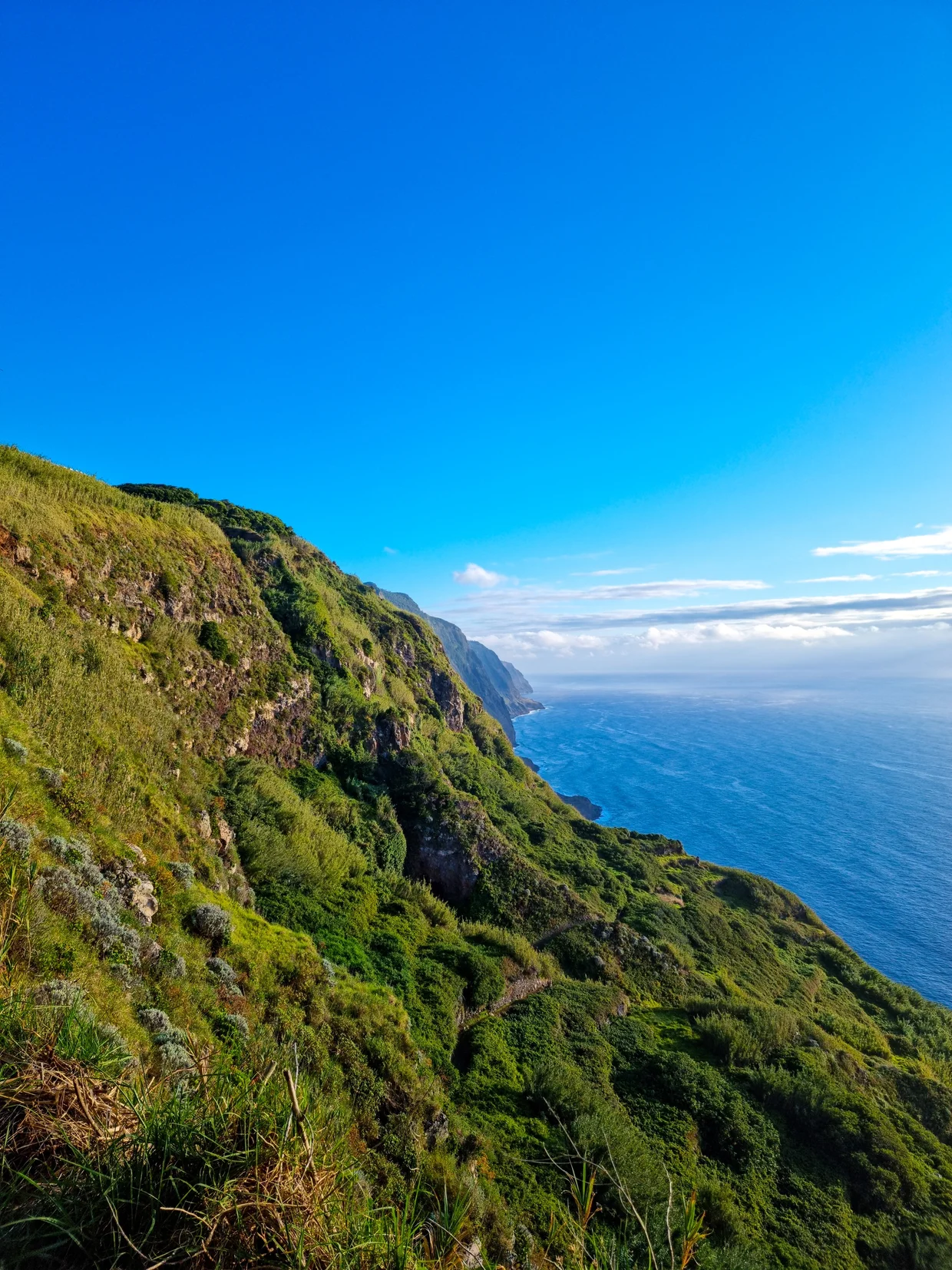 Green coastal cliffs stretching along the west coast with clouds sitting at sea level