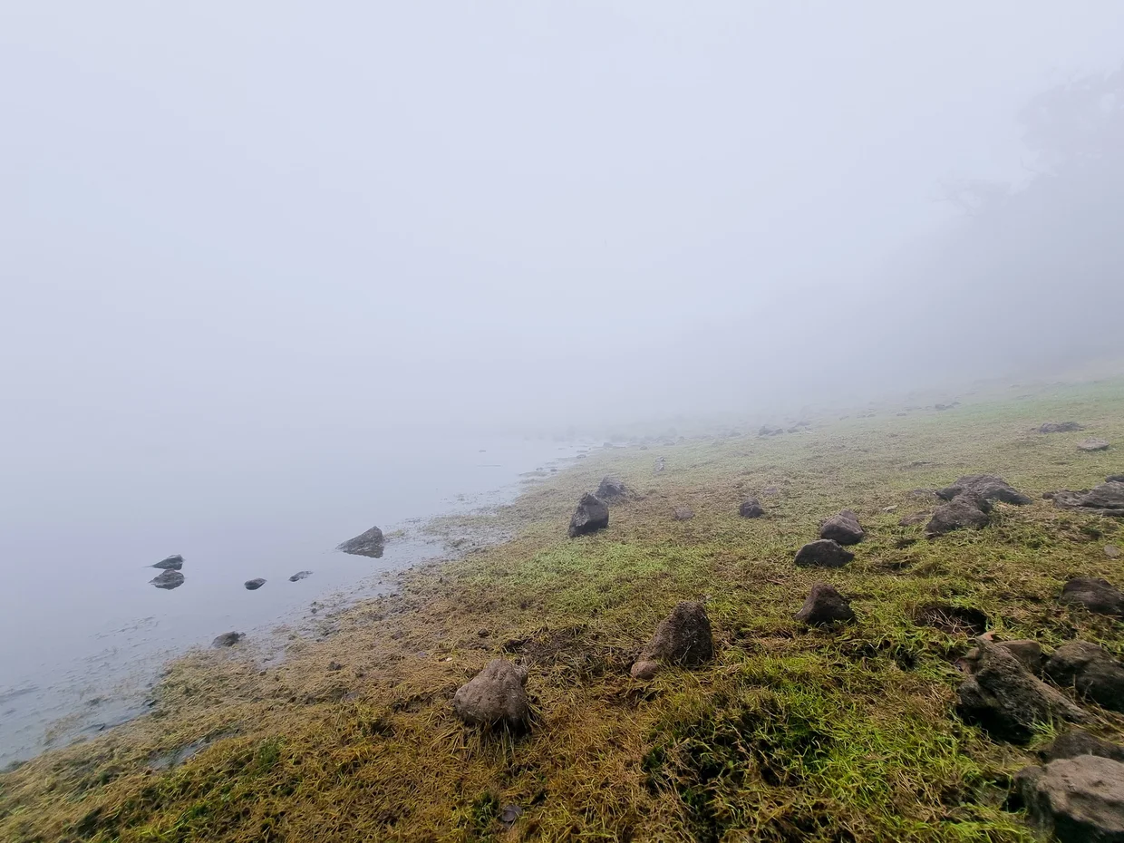 Misty shore of a mountain lagoon, mossy ground, fog erasing the horizon