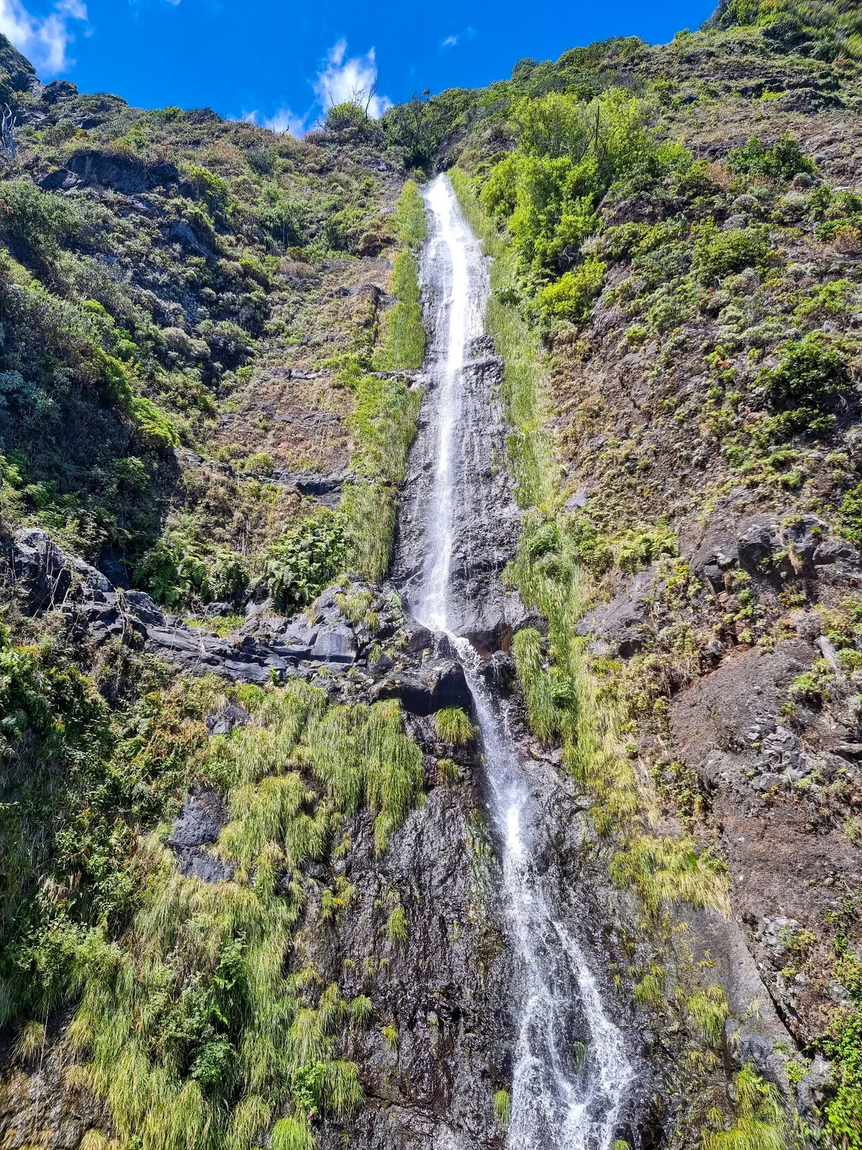 Risco waterfall cascading down a green cliff face