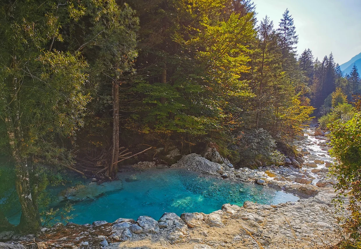 Turquoise Soča River pool beside rocks and forest