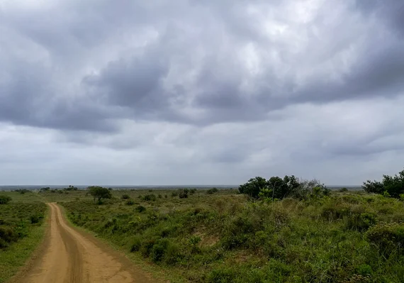 A dirt road stretching through green savanna under stormy skies