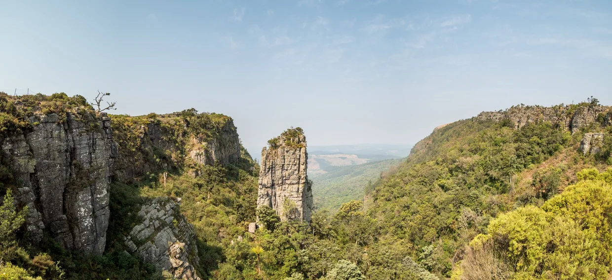 The Pinnacle Rock rising from the forested canyon