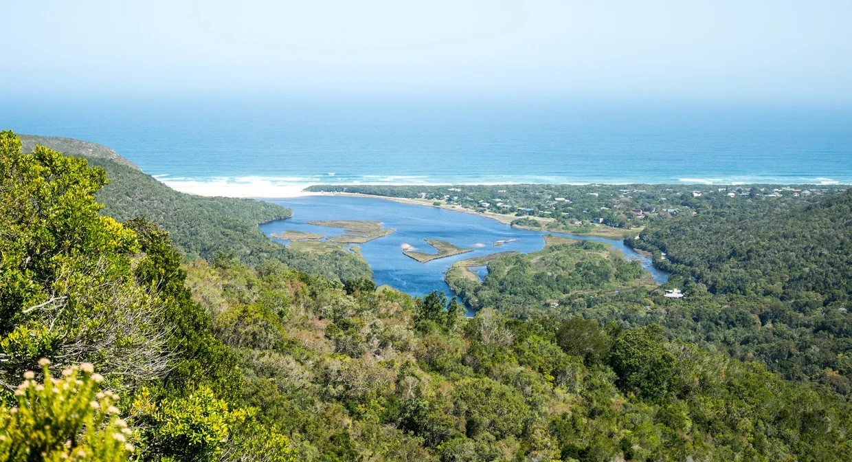 A coastal lagoon and town viewed from a forested hilltop