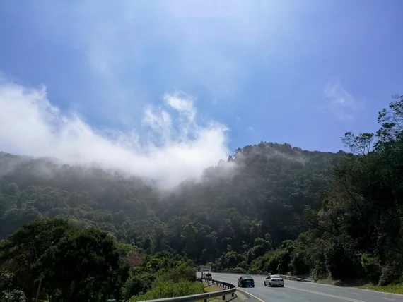 A mountain road with mist and clouds rolling over forested hillsides