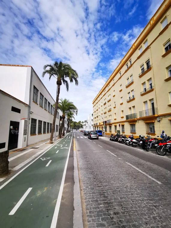 Street with bike lane and palm trees