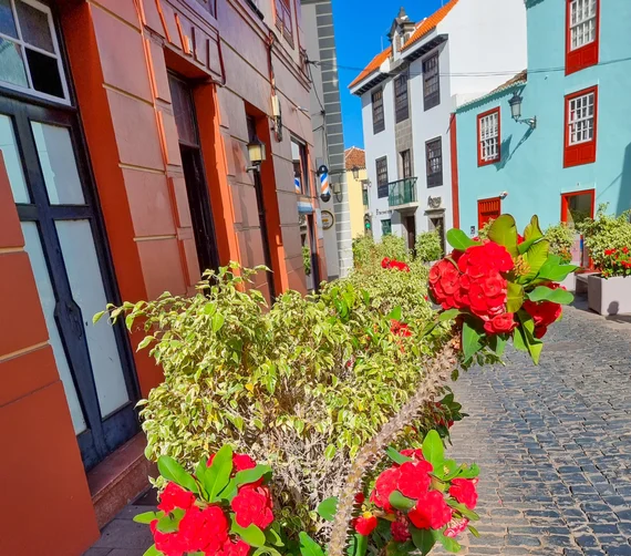 Colorful colonial street with red flowers in foreground