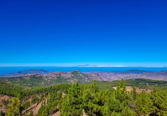Panoramic view of pine-forested mountains with Teide on the horizon