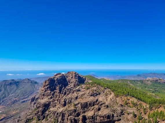 Rugged rocky mountain summit with pine forest and ocean