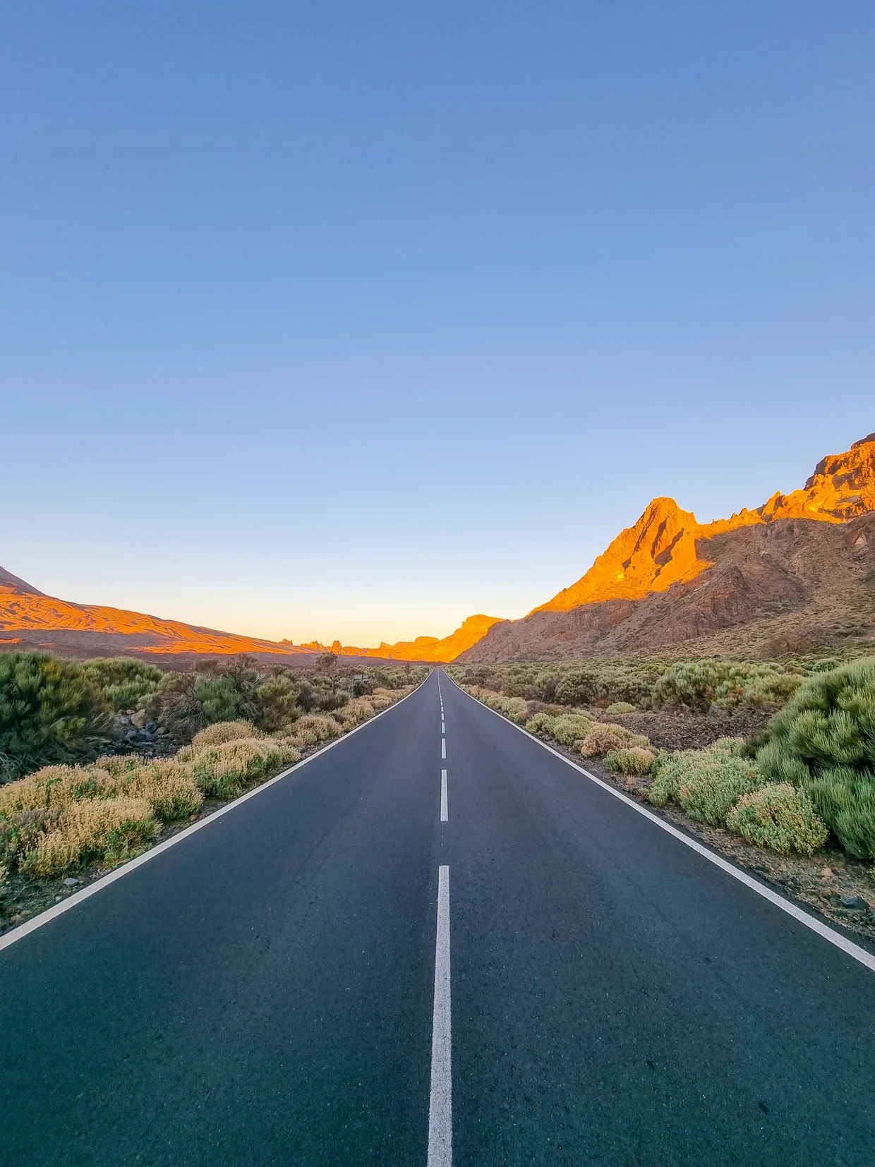 Road through Teide National Park at sunset, easily one of the best drives anywhere