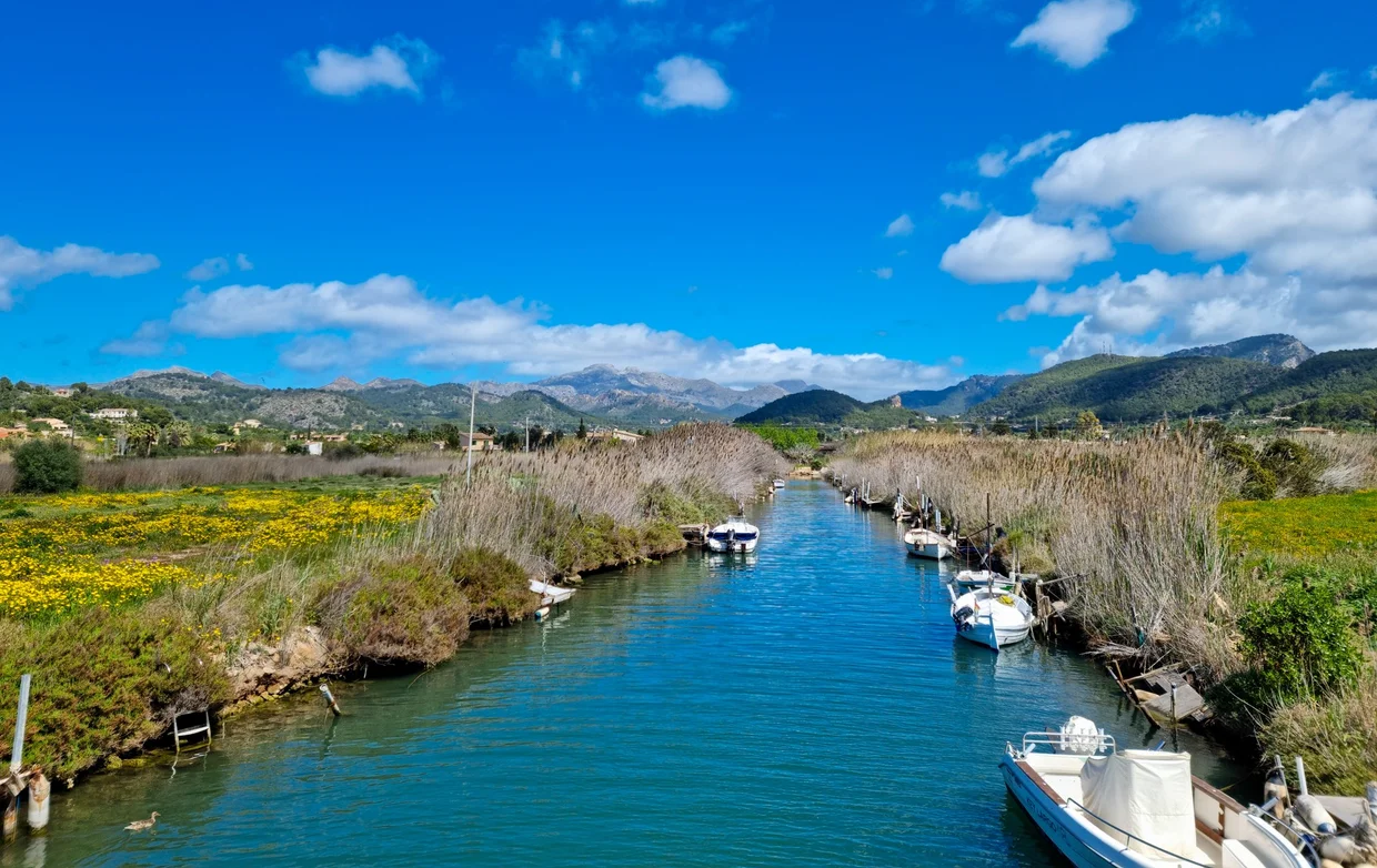 Canal with boats and wildflowers, Tramuntana mountains in the background