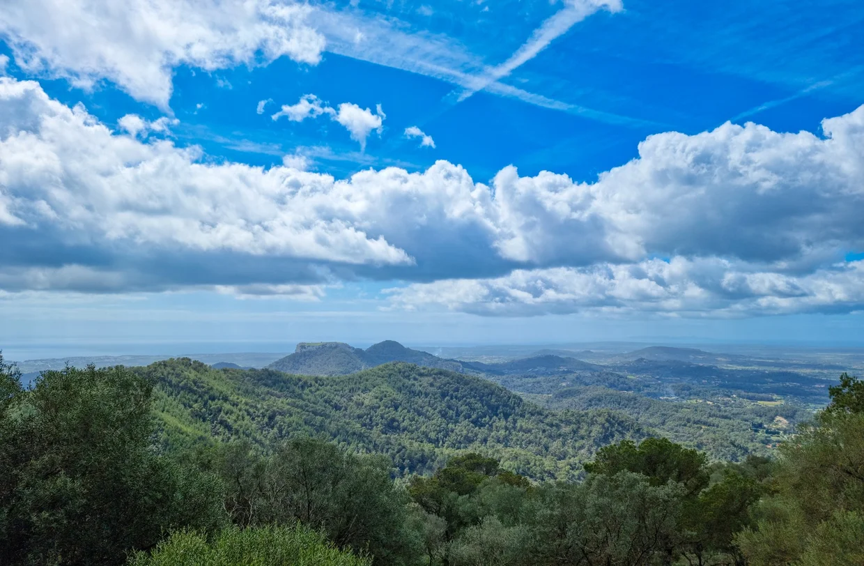 Panoramic view over the green forested Serra de Tramuntana
