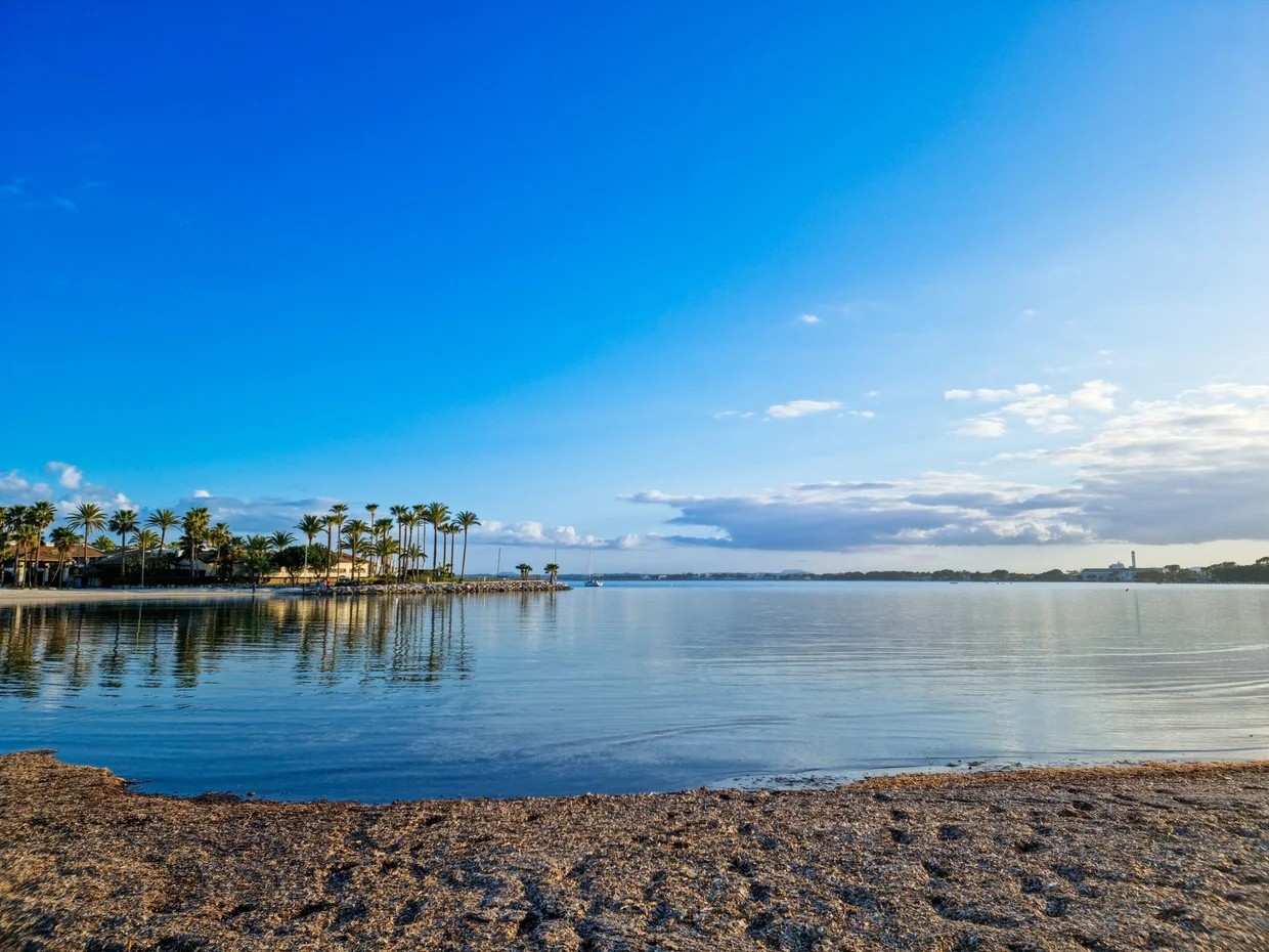 Calm bay at golden hour, palm trees reflected in still water