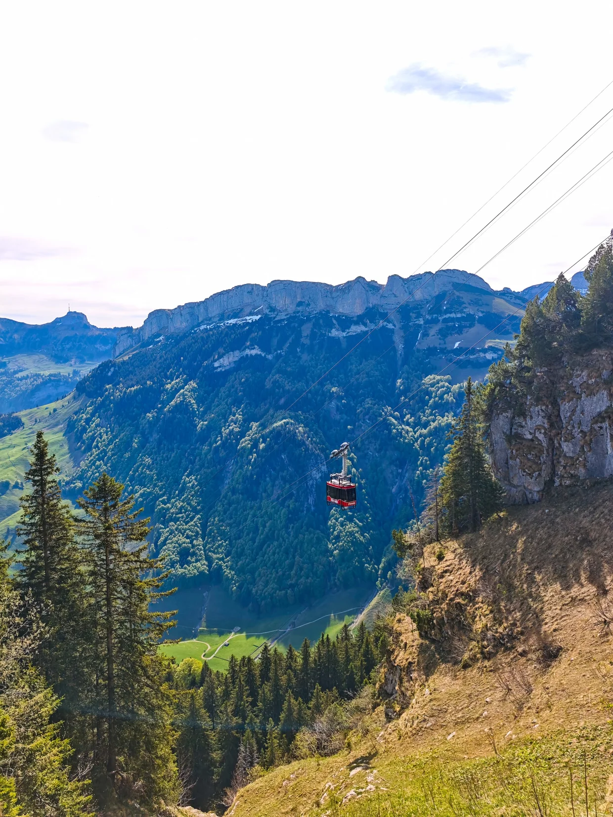 The red Wasserauen-Ebenalp cable car coming up against a backdrop of green slopes and limestone cliffs