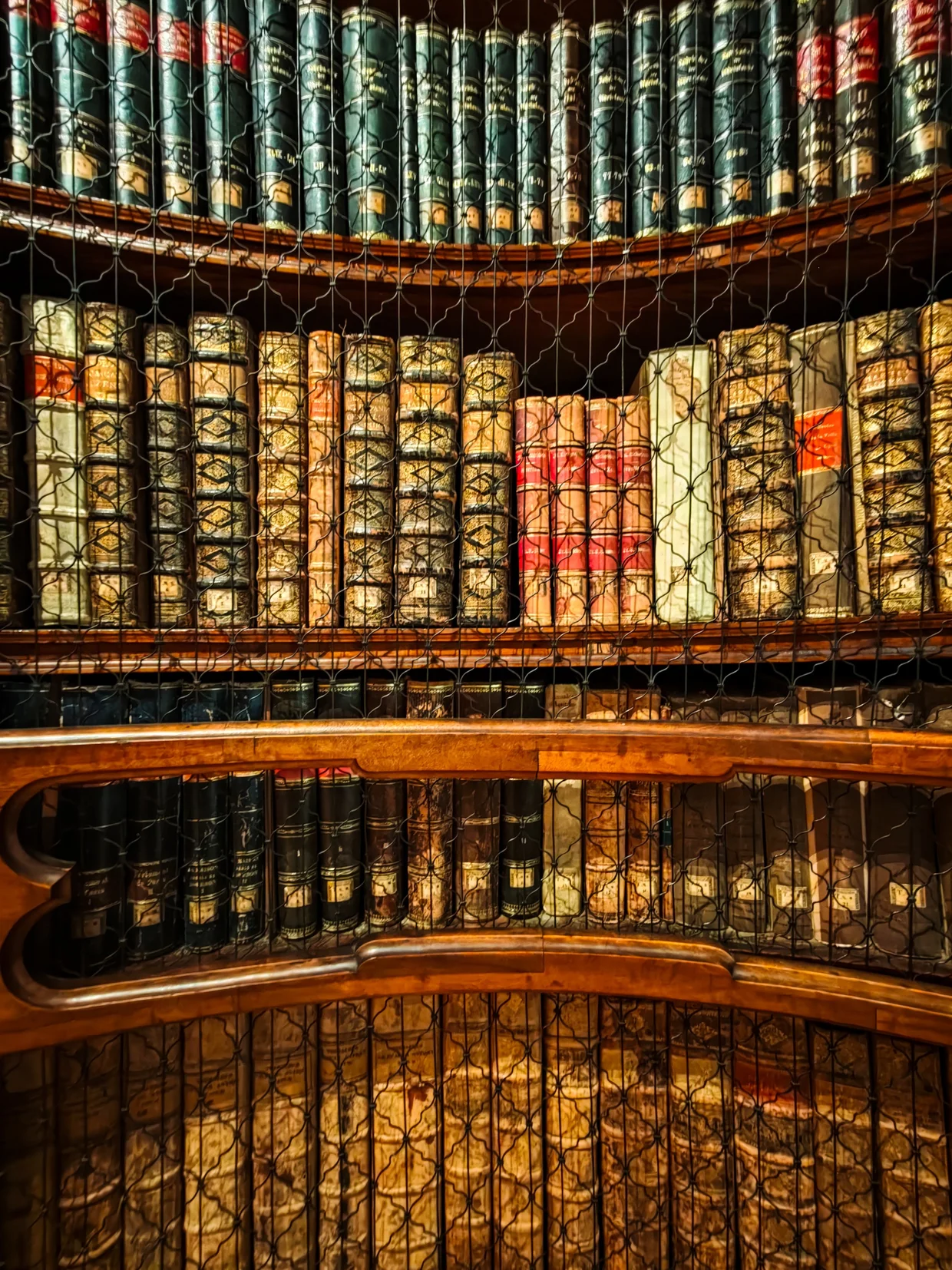 Detail of the wire-grilled bookcases protecting old leather-bound volumes