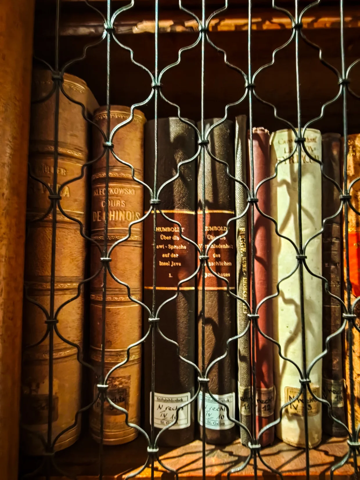 Close-up of leather book spines, including a Humboldt volume