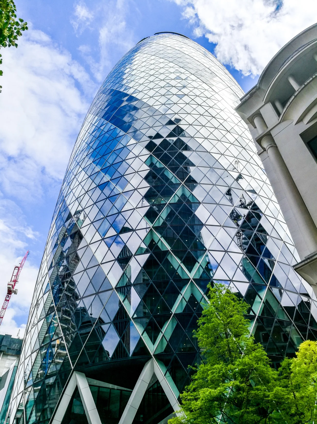 The Gherkin's diamond glass panels gleaming in sunlight, framed by green leaves