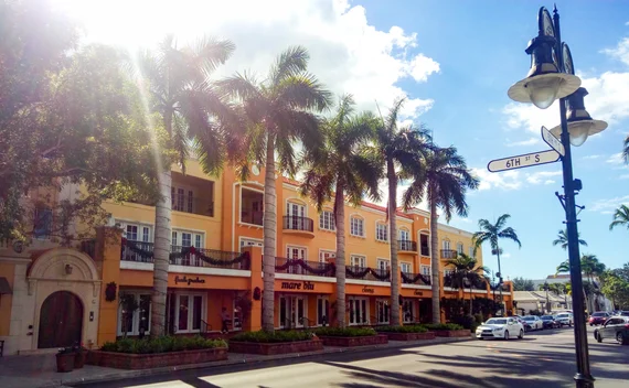 Downtown street with palm trees