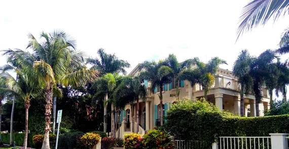 Palm-lined mansion