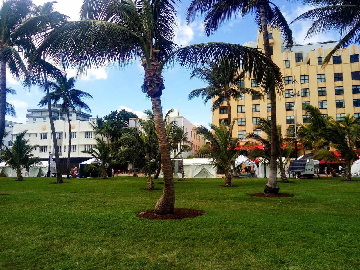 Lummus Park with palm trees and Art Deco buildings