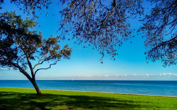 Downtown St. Petersburg waterfront