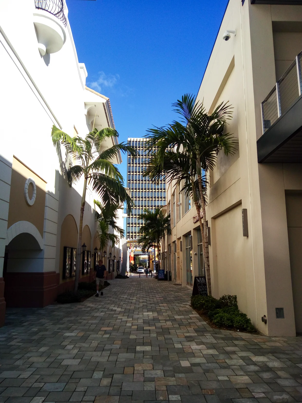 Downtown St. Petersburg