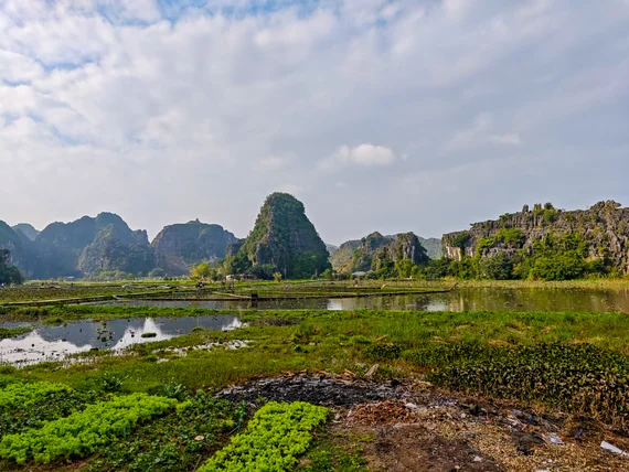 Karst hills behind shallow lotus ponds near Hang Mua