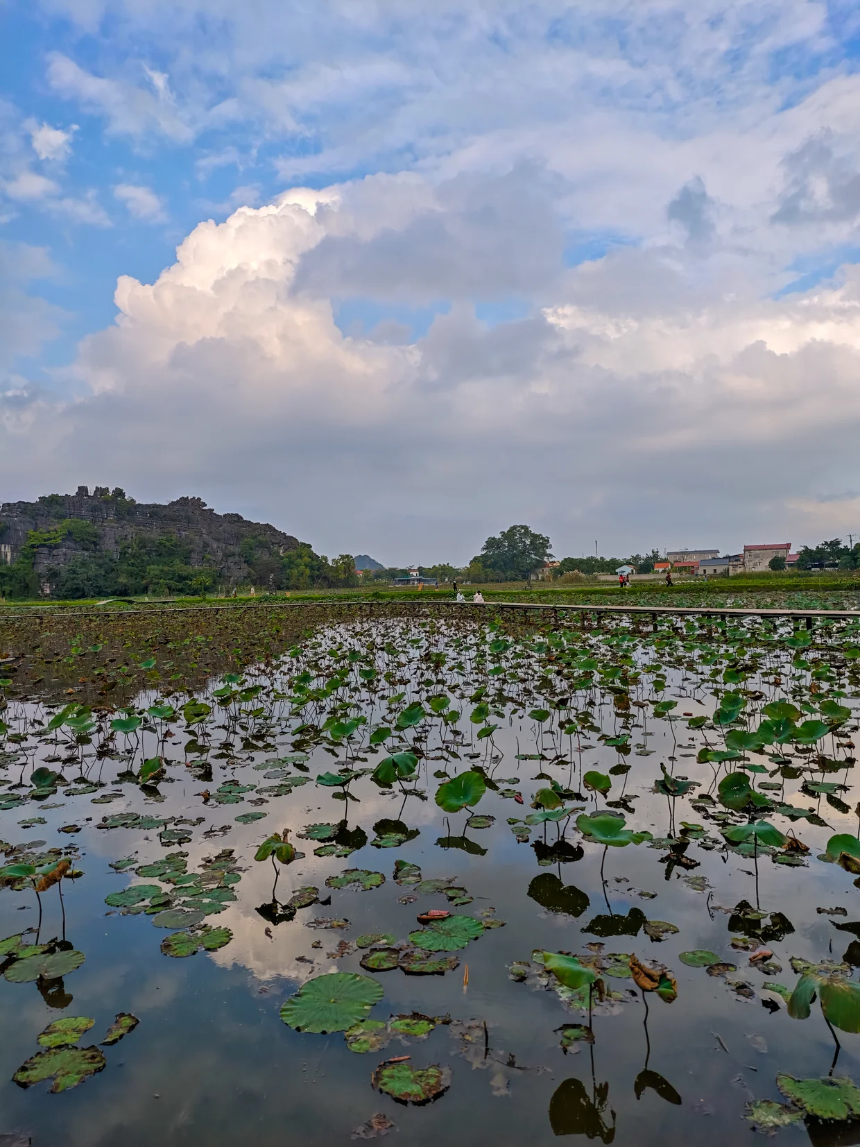 Lotus Lake not in season